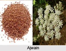 Ajwain, Seed type Spices