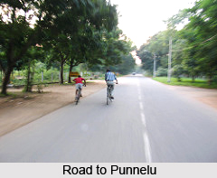 Punnelu, Warangal District, Telangana