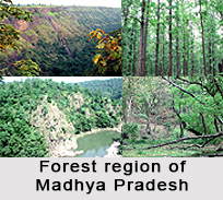 Forest Vegetation in Central and North India
