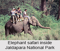 Jaldapara Wildlife Sanctuary, Jalpaiguri District, West Bengal