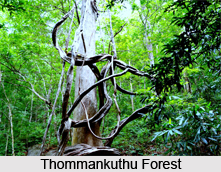 Tourism of Idukki District, Kerala