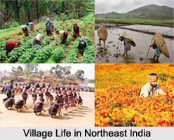 Village Life in Northeast India