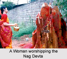Nagpanchami , Indian Festival