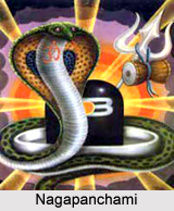 Nagpanchami , Indian Festival