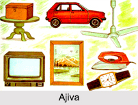 Ajiva, Nav Tattvas, Jainism