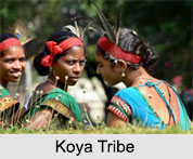 Koya Tribe, Kerala, Indian Tribals