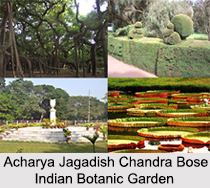 Acharya Jagadish Chandra Bose Indian Botanic Garden, Kolkata