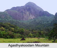 Agasthyakoodam Mountain, Kerala