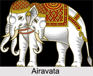 Airavata, Indian Purana
