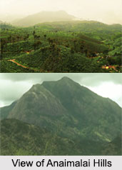 Anaimalai Hills, Coimbatore, Tamil Nadu