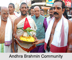 Andhra Brahmin Community, Brahmin Caste
