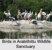 Arabithittu Wildlife Sanctuary, Mysore, Karnataka