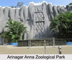 Arignar Anna Zoological Park, Chennai, Tamil Nadu