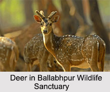 Ballabhpur Wildlife Sanctuary, Birbhum, West Bengal