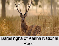 Maikal Hill, Chattisgarh