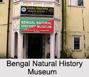 Bengal Natural History Museum, Darjeeling, West Bengal