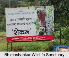Bhimashankar Wildlife Sanctuary, Pune District, Maharashtra