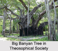 Adyar, Chennai, Tamil Nadu