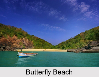 Butterfly Beach, Goa