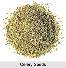 Celery Seed, Indian Spice