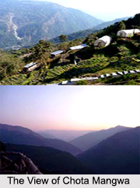 Chota Mangwa, Darjeeling