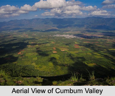 Cumbum Valley, Theni District