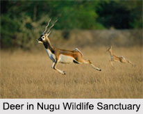 Nugu Wildlife Sanctuary, Mysore District, Karnataka