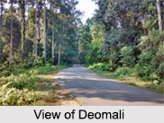 Deomali, Tirap, Arunachal Pradesh