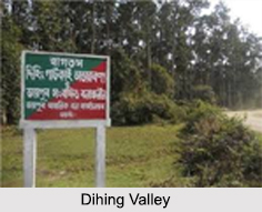 Dihing Valley, Assam