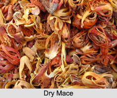 Mace, Indian Spice