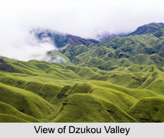 Dzukou Valley, Manipur