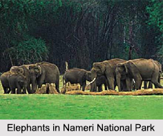 Nameri National Park, Sonitpur District, Assam