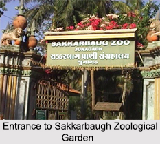 Sakkarbaug Zoological Garden, Junagadh, Gujarat
