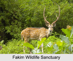 Wildlife Sanctuaries of Nagaland, Indian Wildlife Sanctuaries