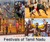 Festivals of Tamil Nadu