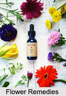 Flower Remedies, Indian Naturopathy
