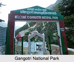 Gangotri National Park