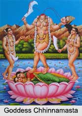 Goddess Chhinnamastika, Ten Mahavidyas, Indian Goddess