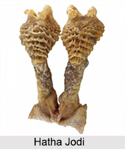 Hatha Jodi, Indian Plant