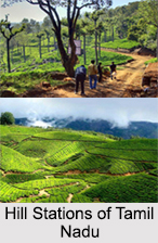 Hill Stations of Tamil Nadu
