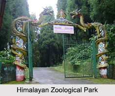 Himalayan Zoological Park, Sikkim