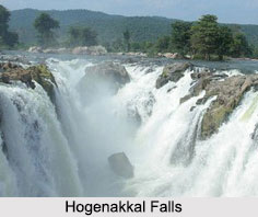 Waterfalls in Tamil Nadu