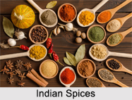 Indian Spices