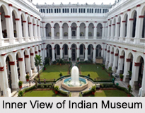 Indian Museum, Kolkata, West Bengal