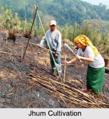 Jhum Cultivation, North East India