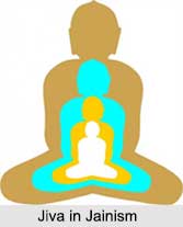 Jiva, Nav Tattvas, Jainism