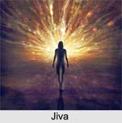Jiva, Soul