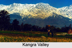 Kangra Valley, Himachal Pradesh