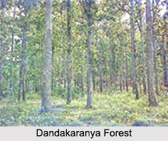 Legend of Dandakaranya