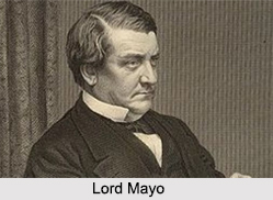 Lord Mayo, Viceroy of India